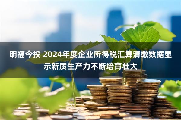 明福今投 2024年度企业所得税汇算清缴数据显示新质生产力不断培育壮大